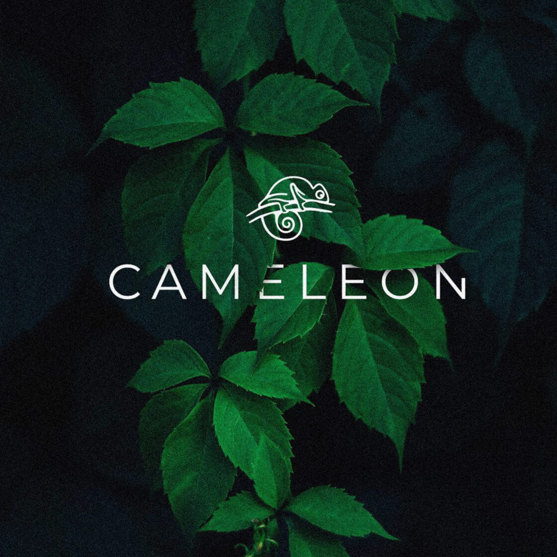 Cameleon Coffee